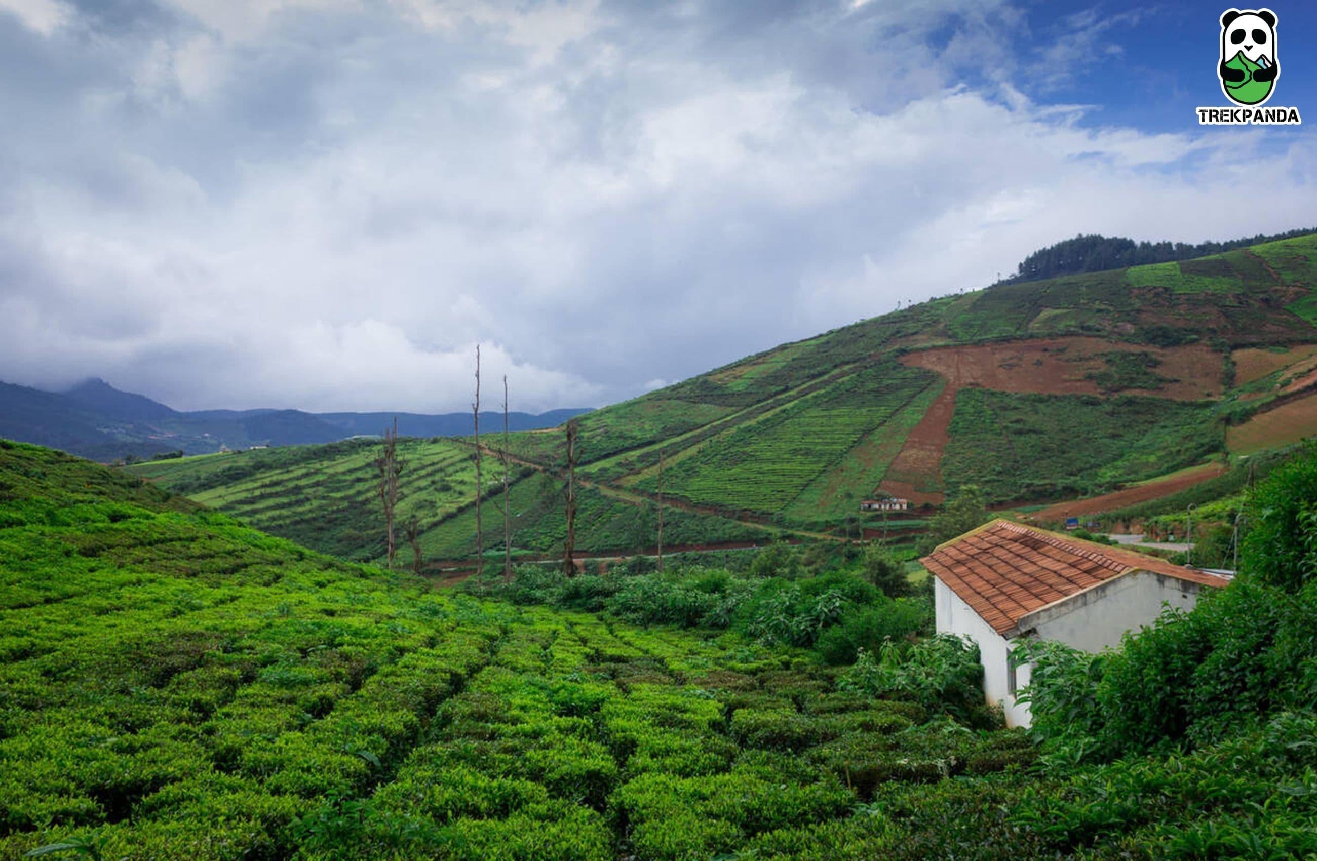 Coorg Chronicles: Women’s Special Retreat