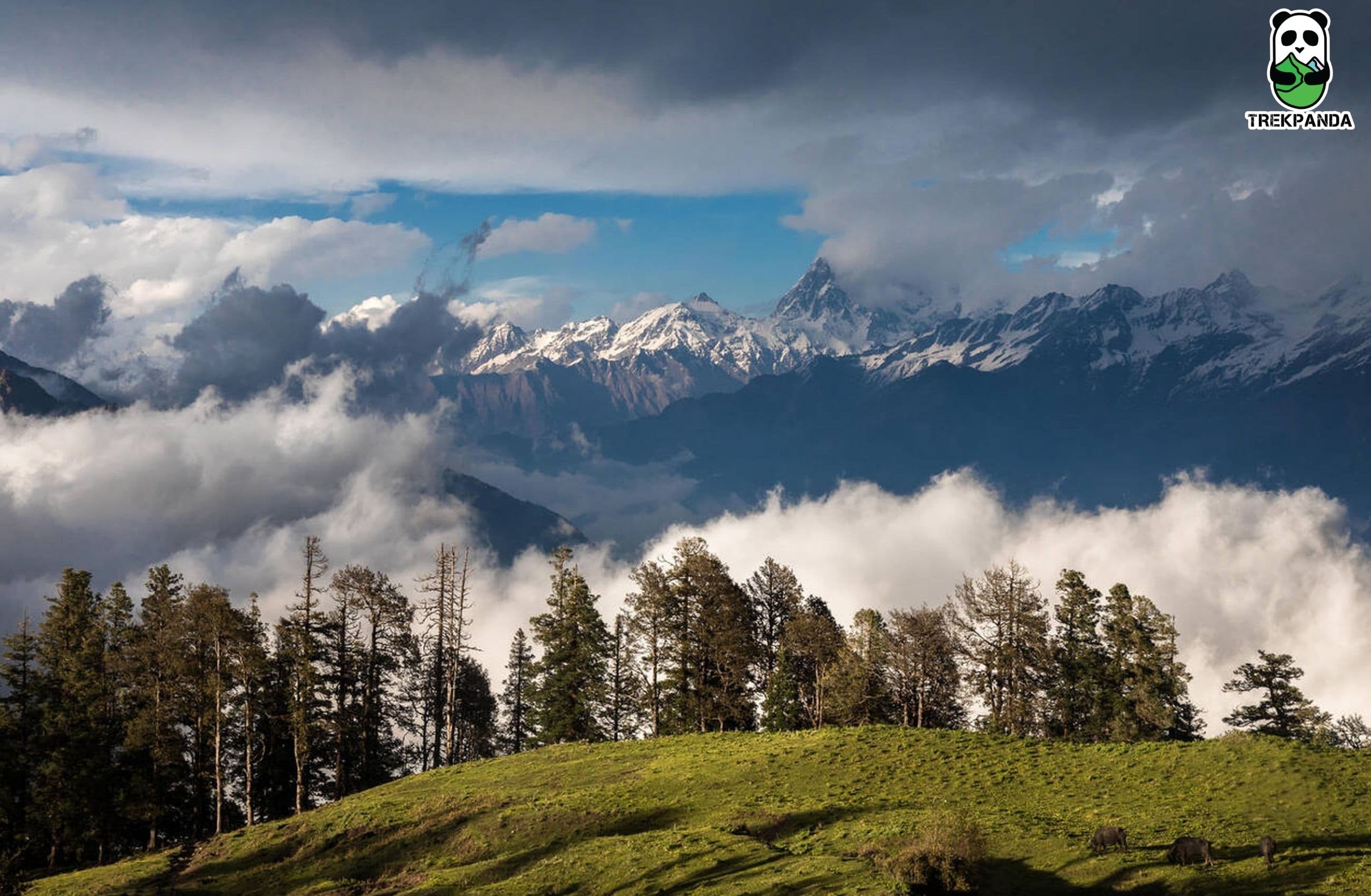 Dayara Bugyal Trek