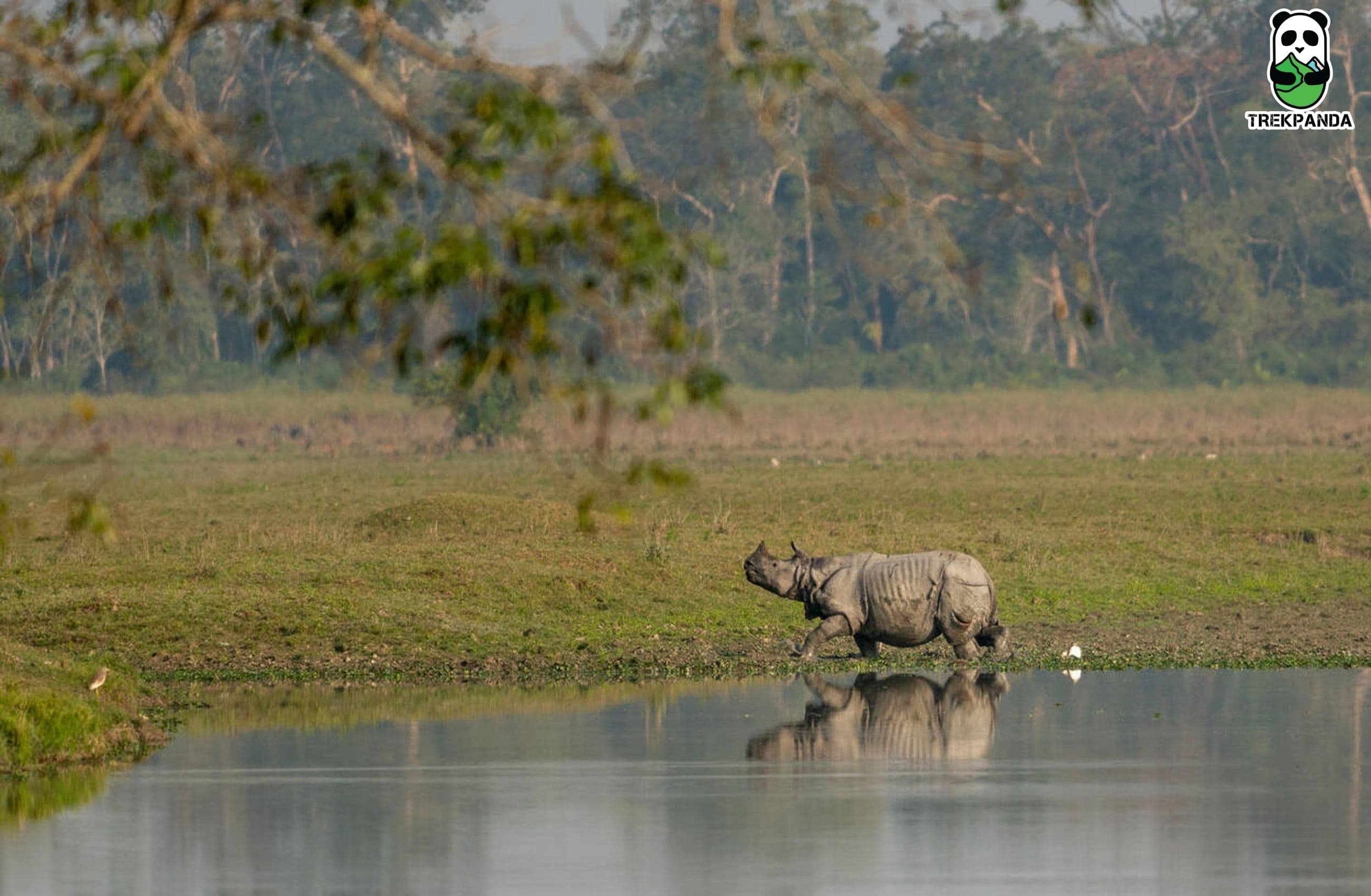 Meghalaya with Kaziranga