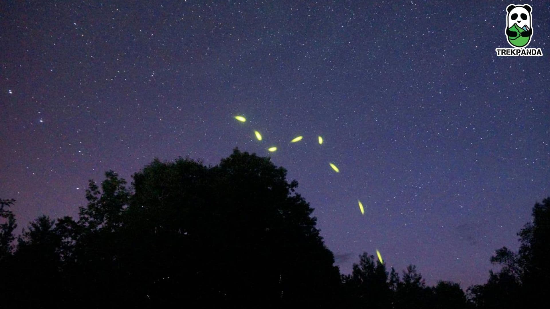 Prabalmachi Fireflies Camping