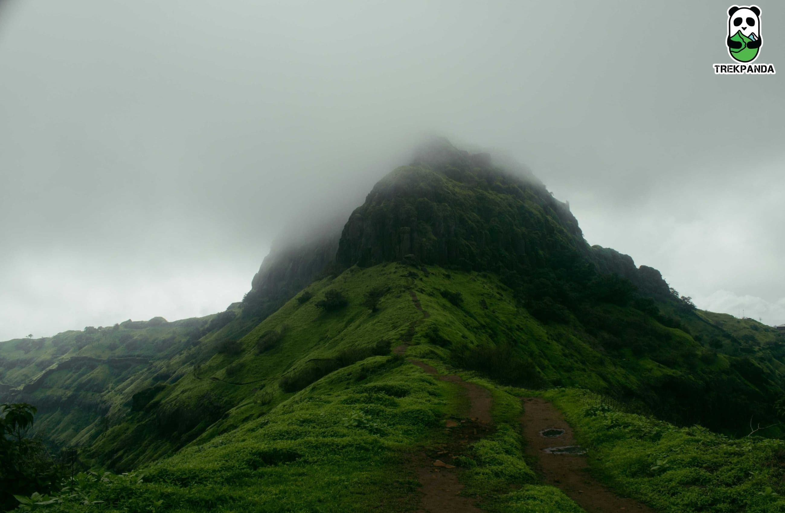 Rajgad Trek and Camping