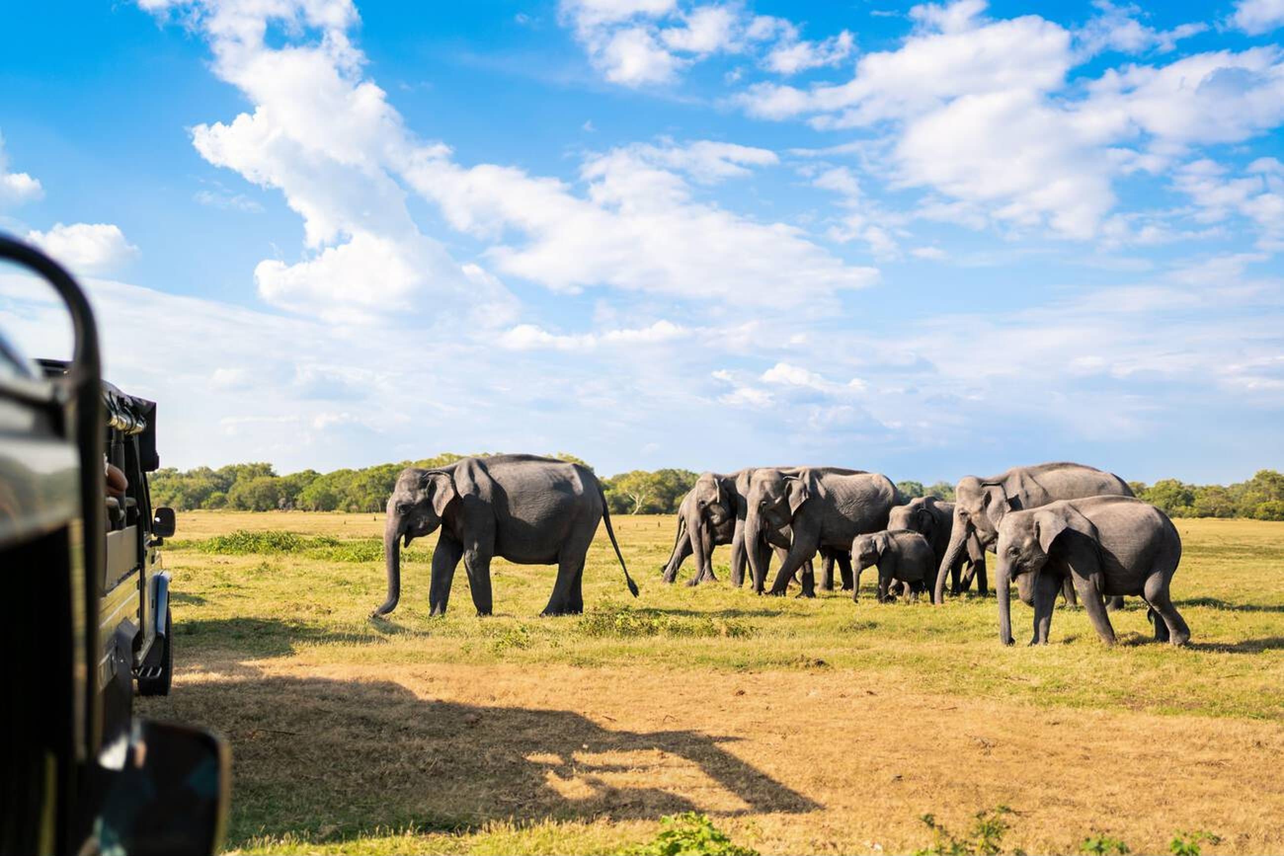SriLanka Backpacking