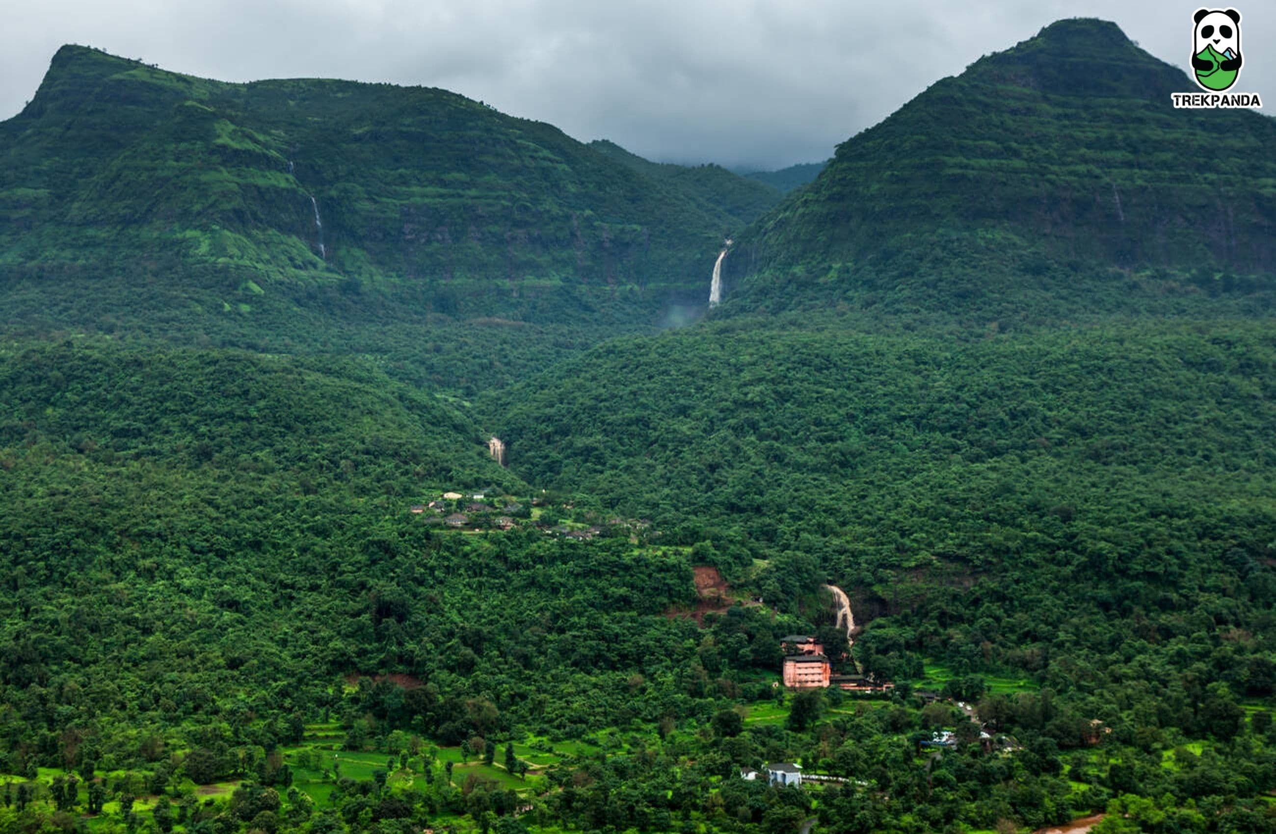 Aadrai Jungle Sahyadri