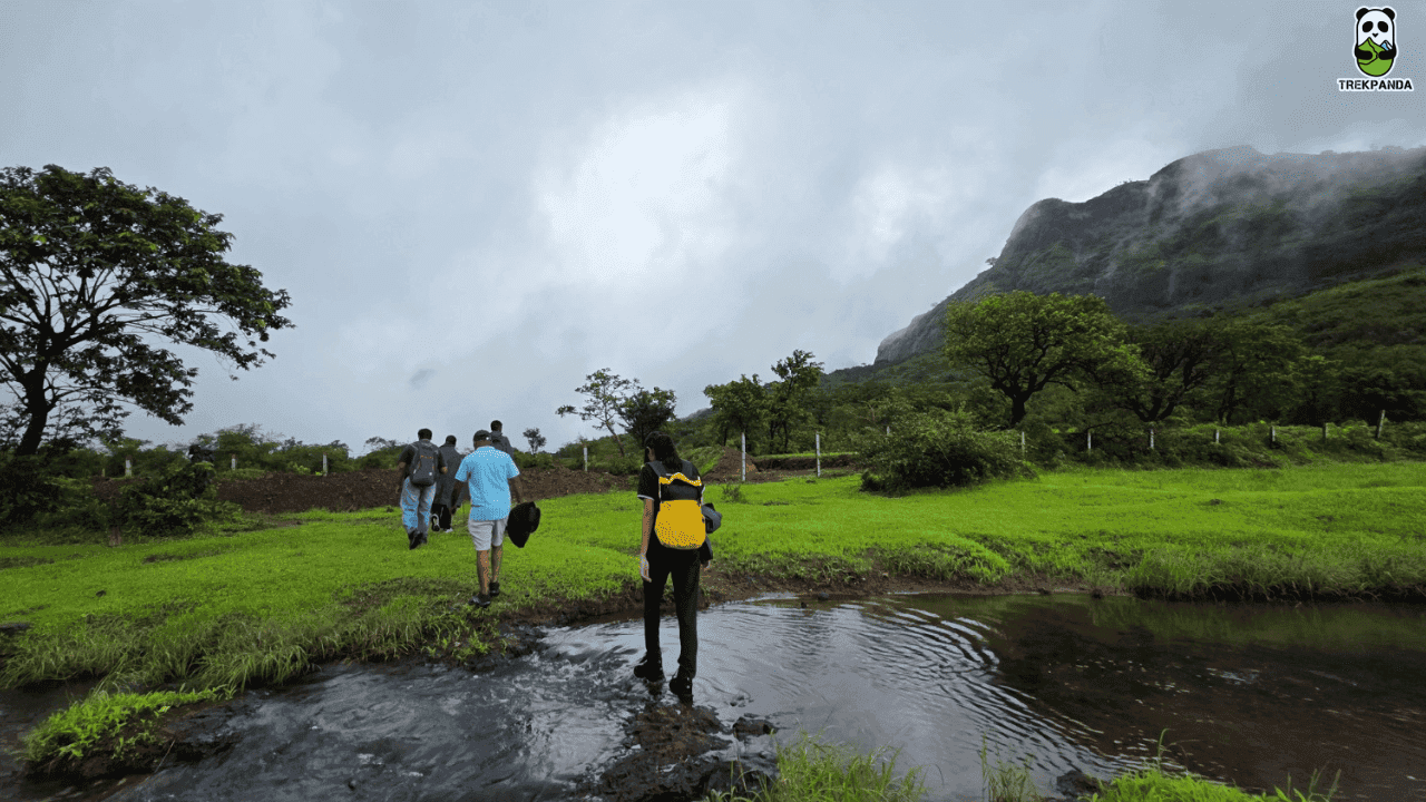 Gavraiban Jungle Trek View