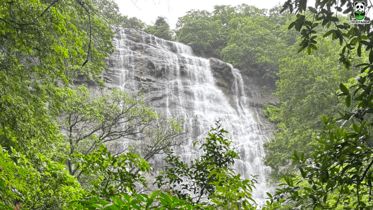 Jacuzzi Waterfall Forest Trail