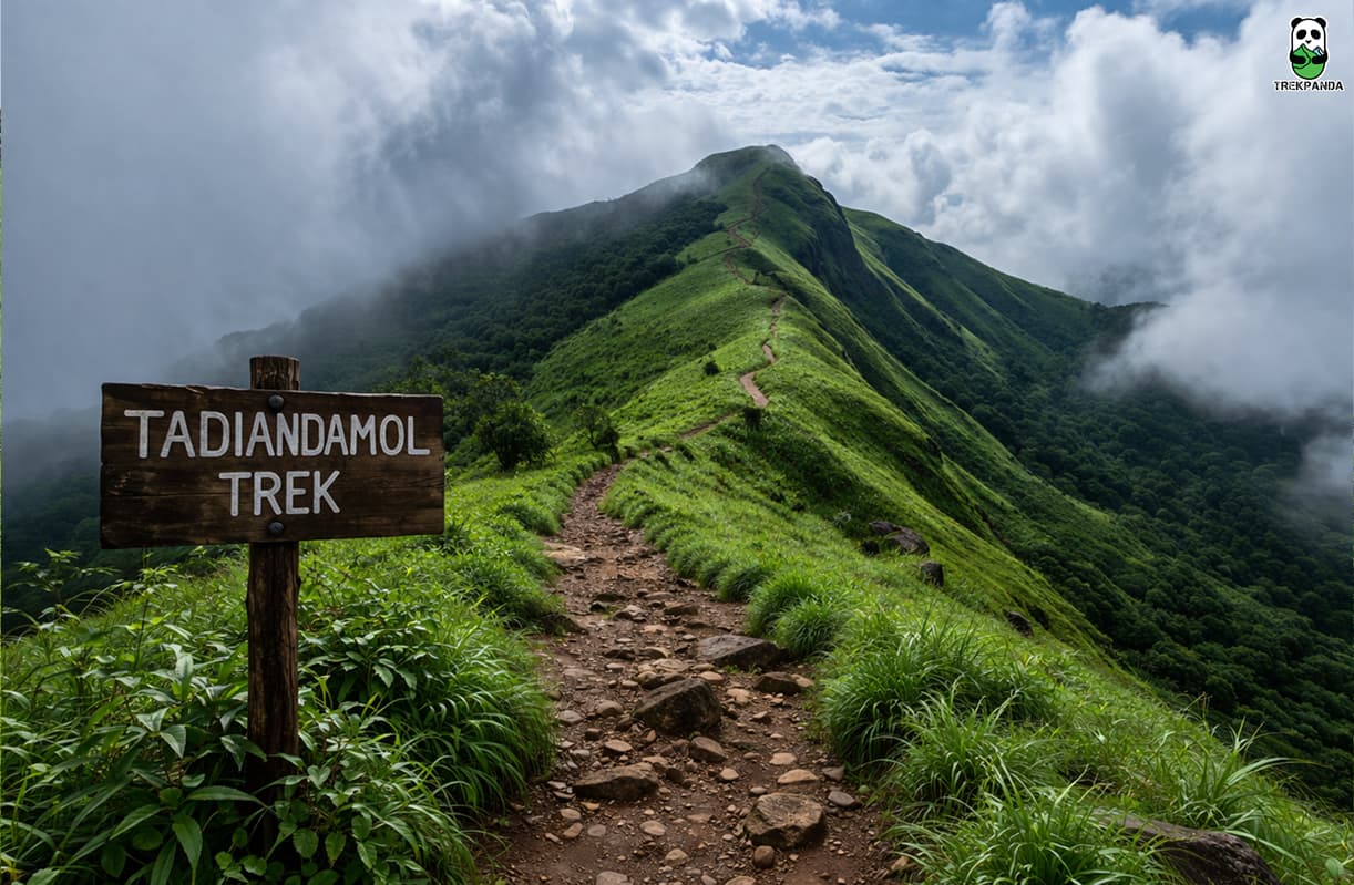 Tadiandamol Trek Trekpanda